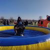 Kind op rodeostier huren in Overijssel – buiten evenement met opblaasbare koe