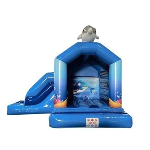 Vooraanzicht van het onderwater dolfijn springkussen met glijbaan