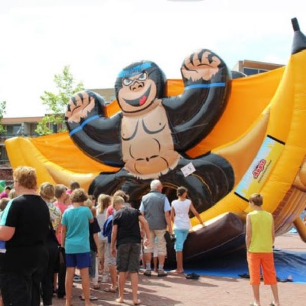 Schommelende Aap attractie